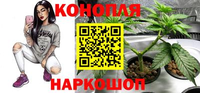 каннабис Будённовск