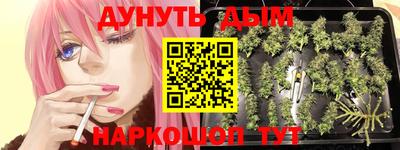 каннабис Будённовск
