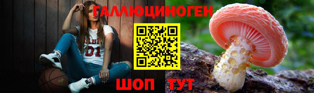 Саров  Псилоцибиновые грибы GOLDEN TEACHER  Вход с VPN 
